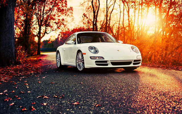 1920x1080 pix. Wallpaper Porsche 911, car, autumn, leaf, sunset, Porsche, nature