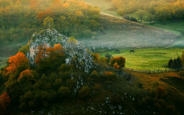 1920x1200 pix. Wallpaper mist, autumn, forest, fence, grass, horse, rock, tree
