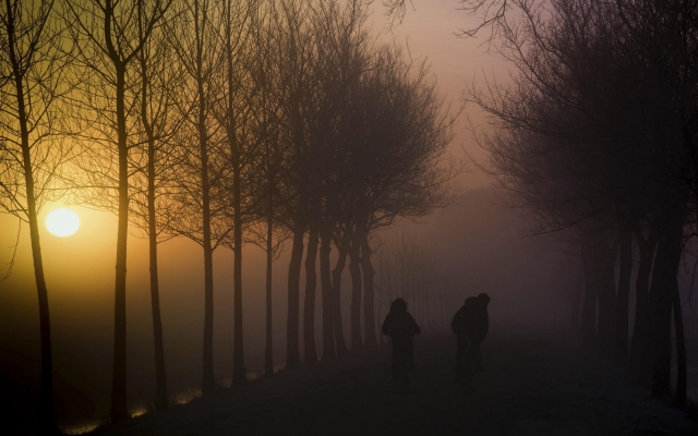 2500x1563 pix. Wallpaper fog, sunrise, tree, nature, morning