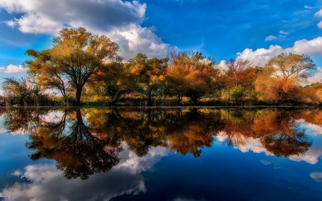 1920x1200 pix. Wallpaper lake, tree, reflections, clouds, water, autumn, nature, landscape