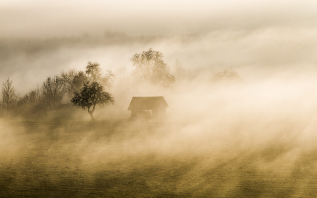 1920x1200 pix. Wallpaper fog, tree, hut, grass, nature, landscape
