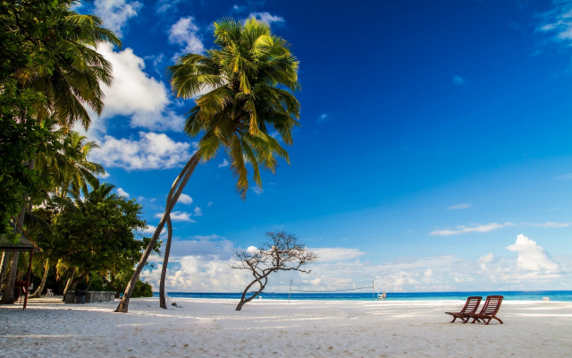 1920x1200 pix. Wallpaper Maldives, beach, chair, nature, palm tree, sand, sky, tropical, landscape