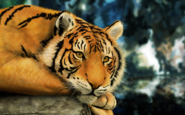 4800x2904 pix. Wallpaper animals, tigers