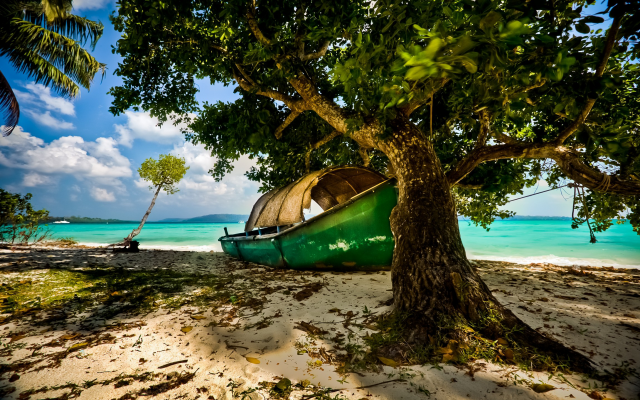 2300x1438 pix. Wallpaper nature, beach, island, tropical, India, boat, tree, sea