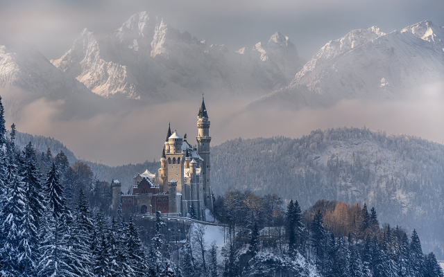1920x1200 pix. Wallpaper Neuschwanstein, Castle, Germany, Bavaria, nature, landscape, mountains, forest, winter, snow