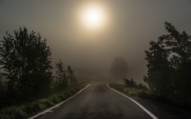 1900x1200 pix. Wallpaper mist, morning, road, asphalt, grass, nature