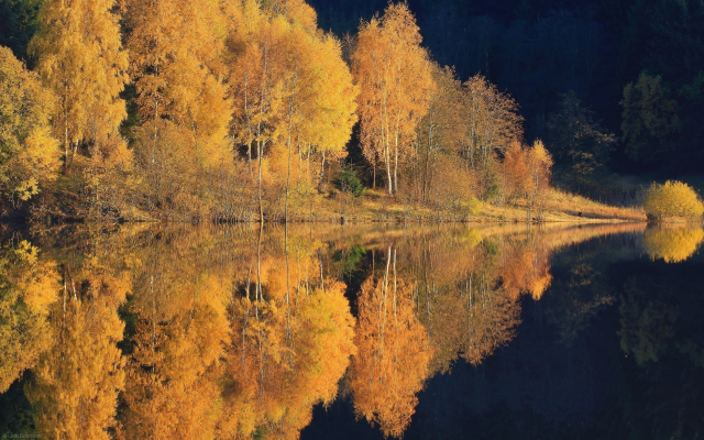 2500x1563 pix. Wallpaper nature, lake, forest, autumn, water, reflection, tree, calm