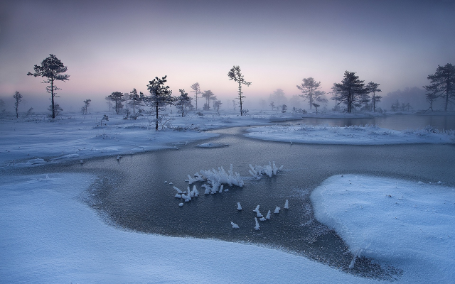 1920x1200 pix. Wallpaper nature, winter, tree, river, snow, frost, Estonia, mist, cold
