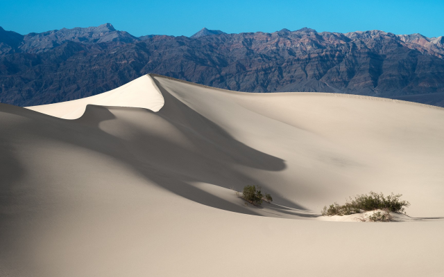 1920x1080 pix. Wallpaper Mesquite Flat, desert, sand, dune, Death Valley National Park, California, USA, nature