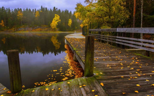 1920x1200 pix. Wallpaper walkway, fall, leaves, nature, lake, forest, tree, water