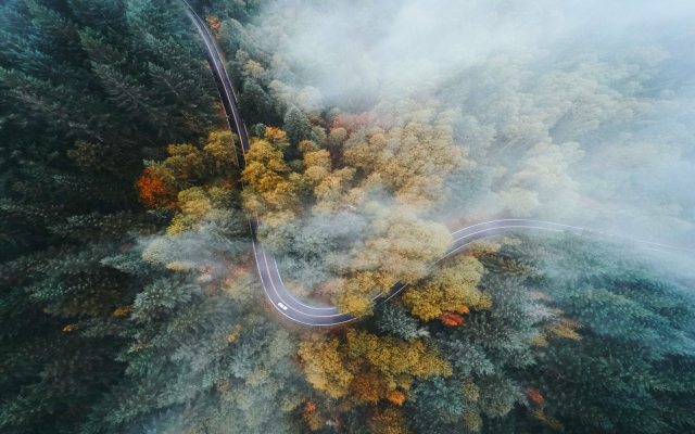 2100x1400 pix. Wallpaper oregon, forest, road, highway, fall, mist, drone, aerial view, tree, nature