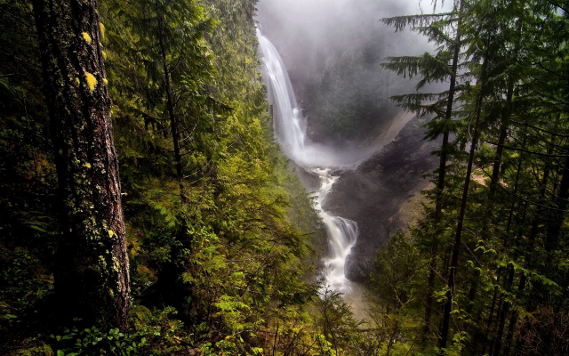 1920x1200 pix. Wallpaper waterfall, forest, tree, nature