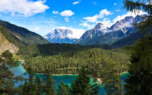 2560x1600 pix. Wallpaper tyrolean alps, austria, alps, mountains, forest, lake, summer, nature, landscape