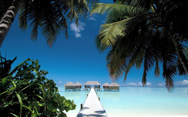 1920x1200 pix. Wallpaper maldives, beach, walkway, palm tree, ocean, water villa, tropical, nature