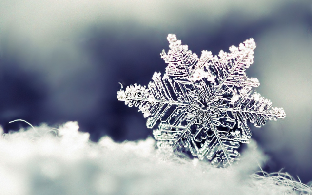 1920x1200 pix. Wallpaper snowflake, winter, closeup, macro, snow, christmas