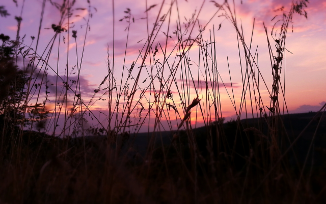 3264x1836 pix. Wallpaper nature, sunset, sky, grass