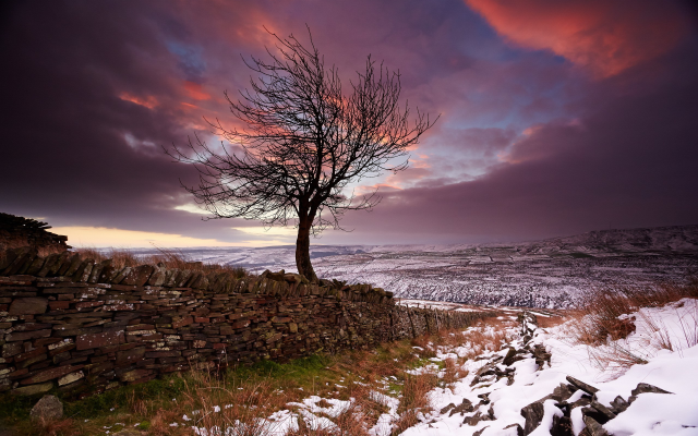 2560x1685 pix. Wallpaper snow, tree, winter, clouds, sunset, nature, landscape