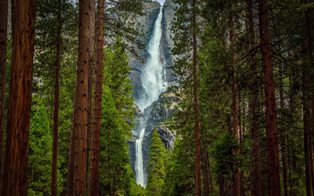 2048x1290 pix. Wallpaper waterfall, forest, tree, nature
