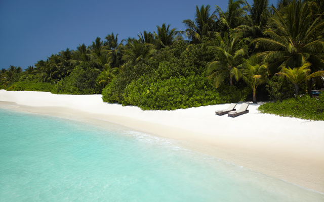 2048x1366 pix. Wallpaper shangri-la villingili resort and spa, maldives, ocean, beach, palm, tropical