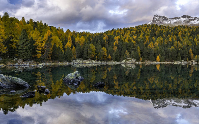 2297x1080 pix. Wallpaper lago di saoseo, val di campo, poschiavo, switzerland, nature, fall, autumn, forest, reflection