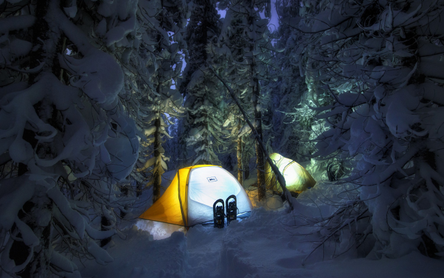2048x1367 pix. Wallpaper snow, tent, winter, night, light, tree, forest