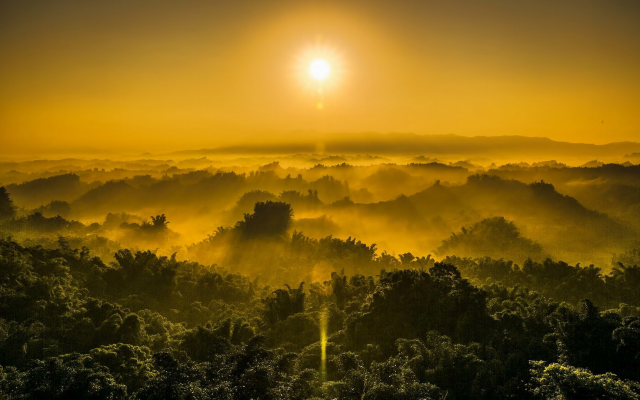 1920x1080 pix. Wallpaper hill, forest, jungles, fog, sky, sun, nature