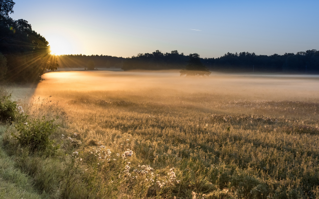 2560x1709 pix. Wallpaper morning, field, fog, light, mist, nature