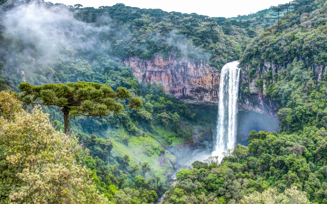 5476x3463 pix. Wallpaper cascata do caracol, caracol falls, waterfall, rio grande do sul, brazil, forest