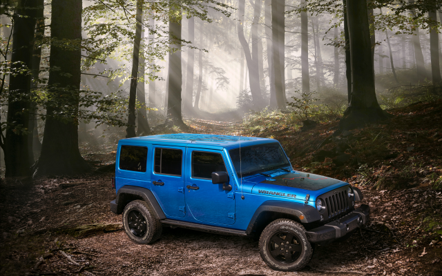 3000x2250 pix. Wallpaper 2015 jeep wrangler, jeep, car, forest, tree, sun light