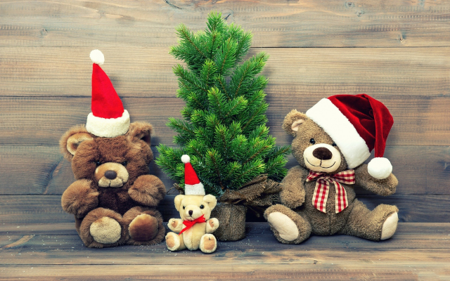 1920x1200 pix. Wallpaper teddy bear, christmas, christmas tree, toy
