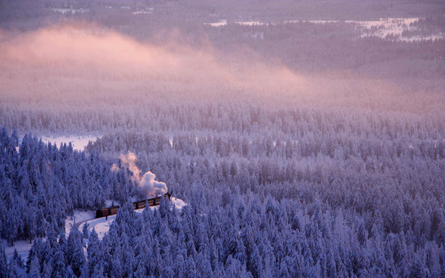 1920x1080 pix. Wallpaper snow, train, saxonia, germany, pine tree, forest, winter, nature