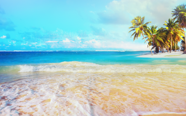 6614x5195 pix. Wallpaper sea, nature, beach, summer, palm, tropical