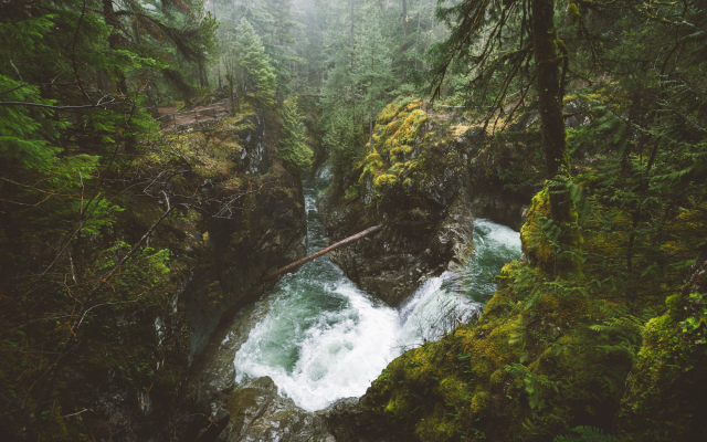 2000x1333 pix. Wallpaper vancouver island, british columbia, canada, nature, forest, river, waterfall, tree