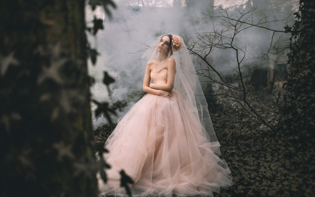 2048x1365 pix. Wallpaper bride, wedding dress, women, model, outdoors, forest, horror