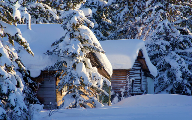 2048x1333 pix. Wallpaper winter, snow, seasons, hut, tree, alaska, usa, nature, pile of snow in alaska