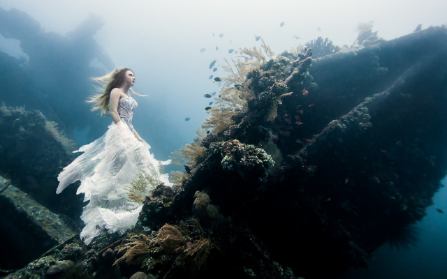 1920x1080 pix. Wallpaper underwater, bride, weddinf gress, women, model, fish, coral