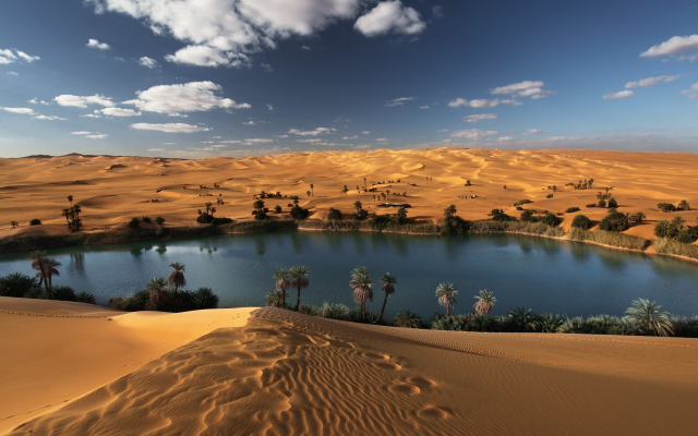 1920x1080 pix. Wallpaper libya, oasis, desert, palm tree, sand, nature