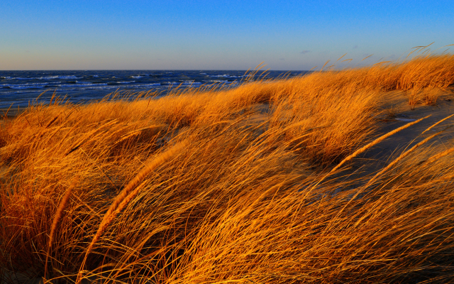 2048x1280 pix. Wallpaper sea, beach, coast, grass, autumn, nature