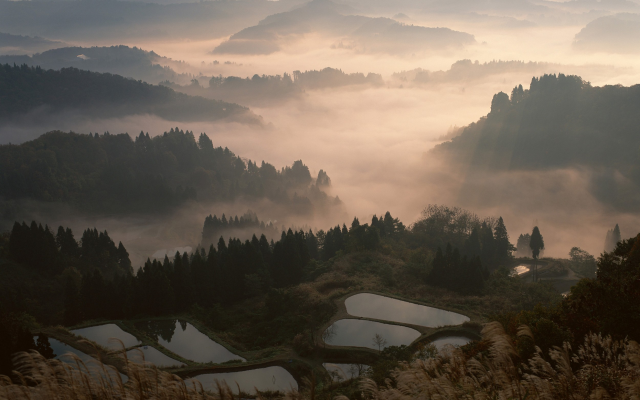 2500x1563 pix. Wallpaper nature, landscape, mist, sunrise, valley, forest, mountain, terraces, water, trees, Japan