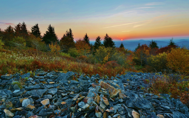 2048x1126 pix. Wallpaper autumn, tree, landscape, nature, fog, mountains, rocks