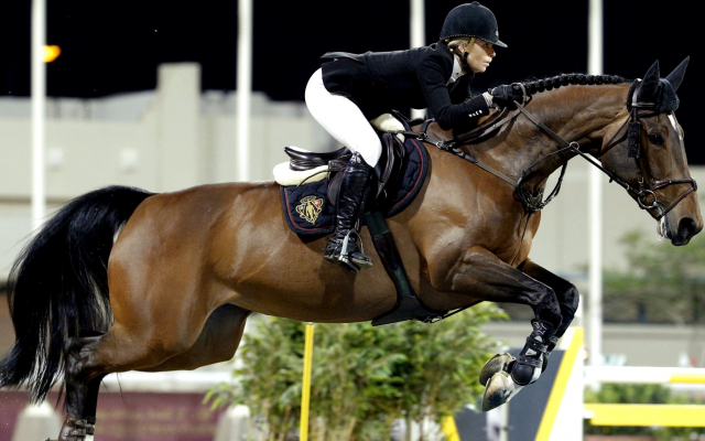 2560x1080 pix. Wallpaper equitation, jumping, horse, horse riding, sport