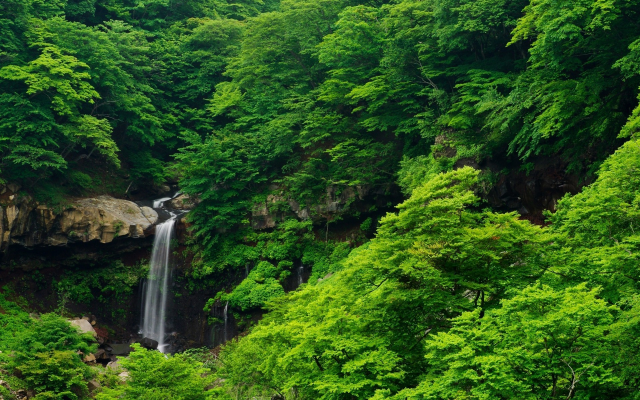 1920x1200 pix. Wallpaper waterfall, fall, tree, nature, rocks