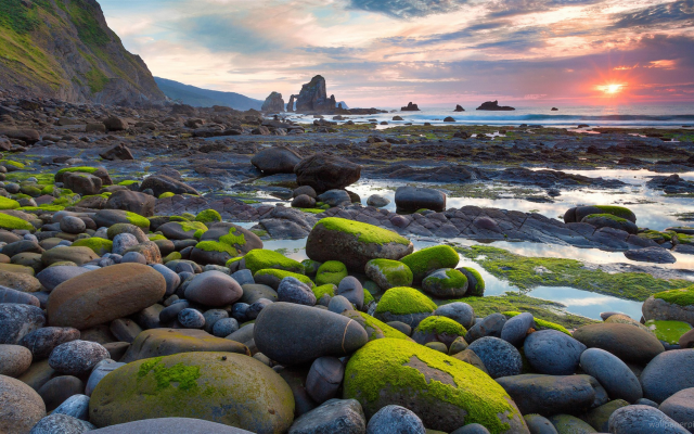 7680x4320 pix. Wallpaper beach, stones, nature, algae, sunset