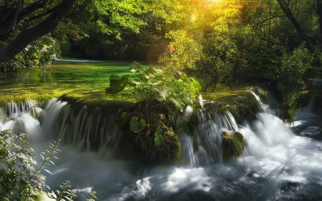 2560x1618 pix. Wallpaper plitvice waterfalls, croatia, cascading waterfall, waterfall, river, nature, forest