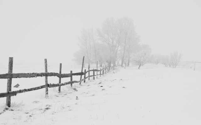 3780x2699 pix. Wallpaper nature, winter, snow, frost, blizzard, fog
