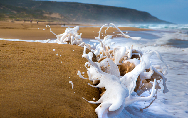 2048x1442 pix. Wallpaper beach, sea, sand, waves, spray, foam, close-up