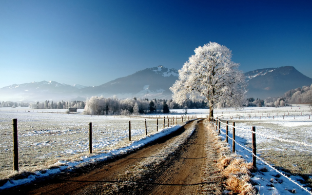 2050x1367 pix. Wallpaper road, fence, field, tree, snow, winter, nature, mountains