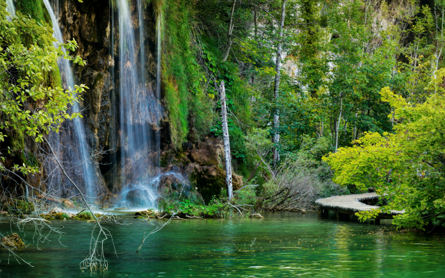 3140x1860 pix. Wallpaper croatia, plitvice lakes national park, forest, lake, rocks