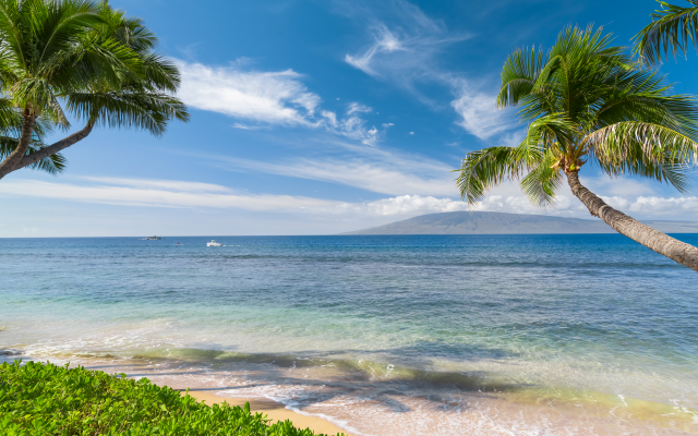 5760x3840 pix. Wallpaper hawaii, tropics, sea, beach, coast, palms, sand, sky, usa, nature
