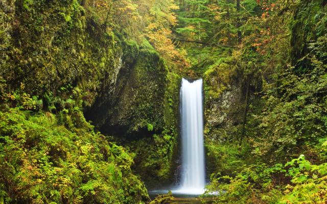 5200x3800 pix. Wallpaper weisendanger falls, forest, waterfall, nature, autumn, usa, portland